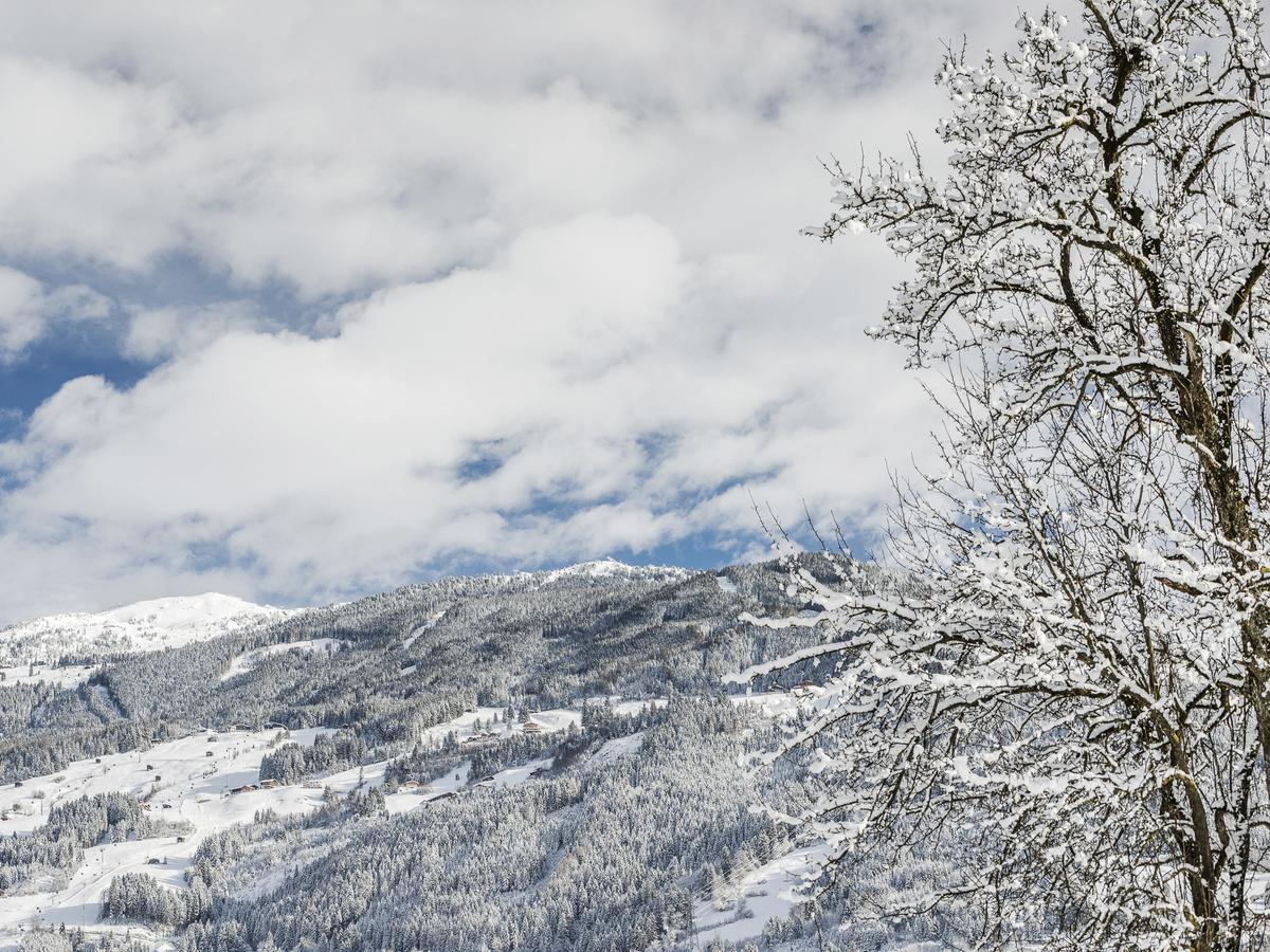 Tirol Appartement Haus Zillertal Zell am Ziller Bagian luar foto